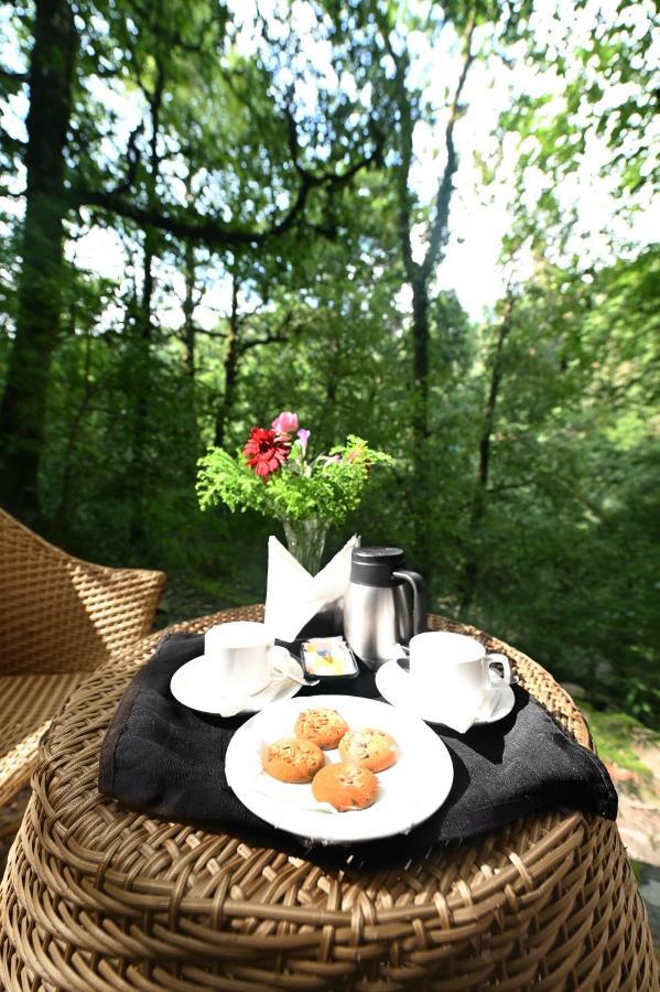 Ayar Jungle Hotel Nainital